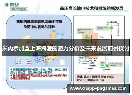 米内罗加盟上海海港的潜力分析及未来发展前景探讨