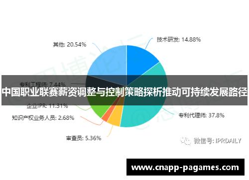 中国职业联赛薪资调整与控制策略探析推动可持续发展路径