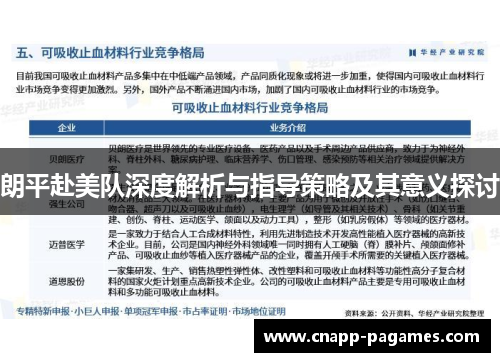 朗平赴美队深度解析与指导策略及其意义探讨