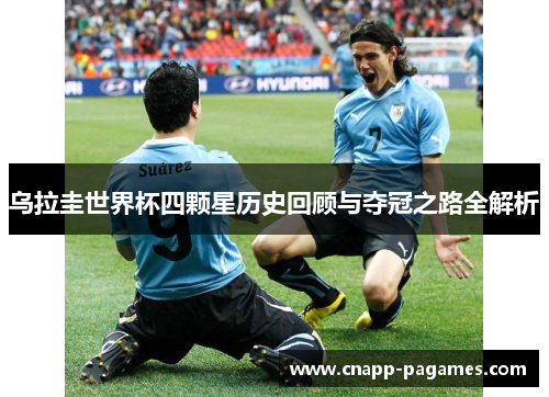 乌拉圭世界杯四颗星历史回顾与夺冠之路全解析