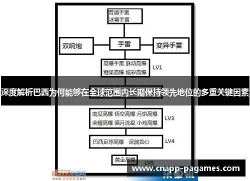 深度解析巴西为何能够在全球范围内长期保持领先地位的多重关键因素