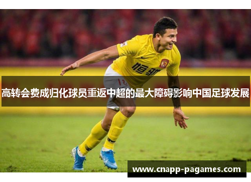 高转会费成归化球员重返中超的最大障碍影响中国足球发展 高转会费成归化球员重返中超的最大障碍影响中国足球发展