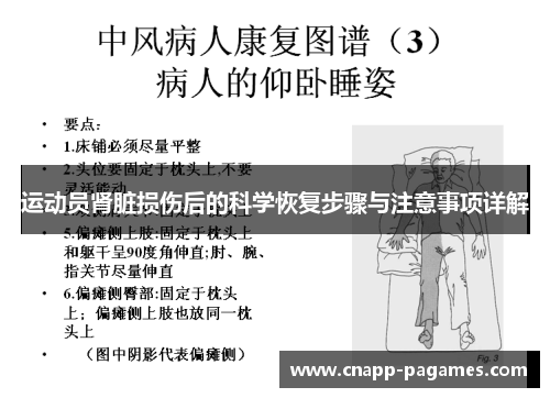 运动员肾脏损伤后的科学恢复步骤与注意事项详解 运动员肾脏损伤后的科学恢复步骤与注意事项详解