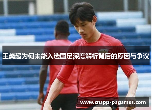 王燊超为何未能入选国足深度解析背后的原因与争议 王燊超为何未能入选国足深度解析背后的原因与争议