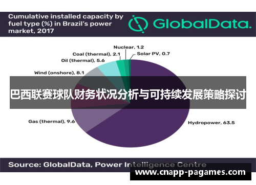 巴西联赛球队财务状况分析与可持续发展策略探讨 巴西联赛球队财务状况分析与可持续发展策略探讨