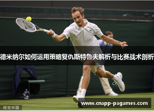 德米纳尔如何运用策略复仇斯特鲁夫解析与比赛战术剖析