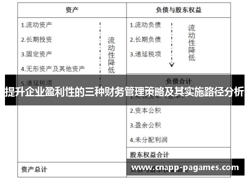 提升企业盈利性的三种财务管理策略及其实施路径分析 提升企业盈利性的三种财务管理策略及其实施路径分析