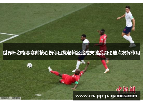 世界杯资格赛赛前核心伤停困扰老将经验成关键战舆论焦点发挥作用