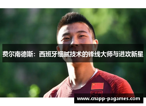 费尔南德斯:西班牙细腻技术的锋线大师与进攻新星 费尔南德斯:西班牙细腻技术的锋线大师与进攻新星